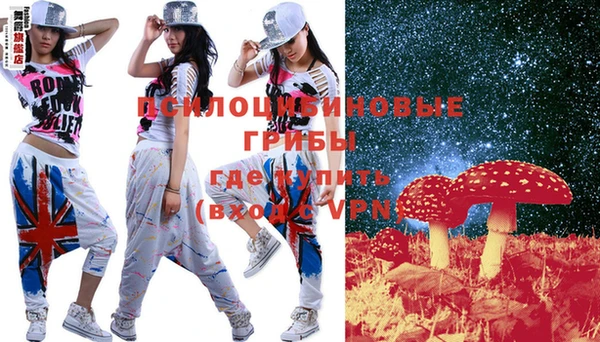 ПСИЛОЦИБИНОВЫЕ ГРИБЫ Аркадак