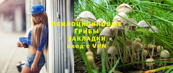 спиды Алексин