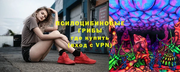 ПСИЛОЦИБИНОВЫЕ ГРИБЫ Аркадак