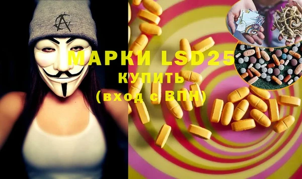 ПСИЛОЦИБИНОВЫЕ ГРИБЫ Аркадак